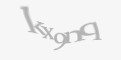/component/jcomments/captcha/88969.html